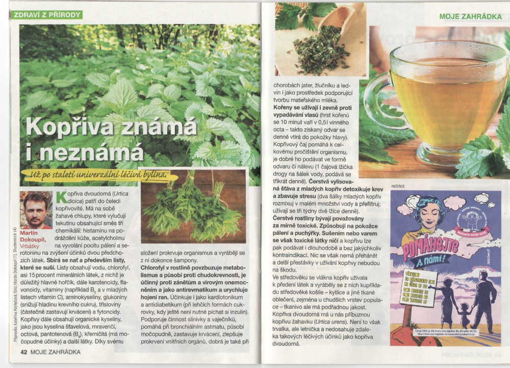 Zahrada_Burda-Kopřivy_201903