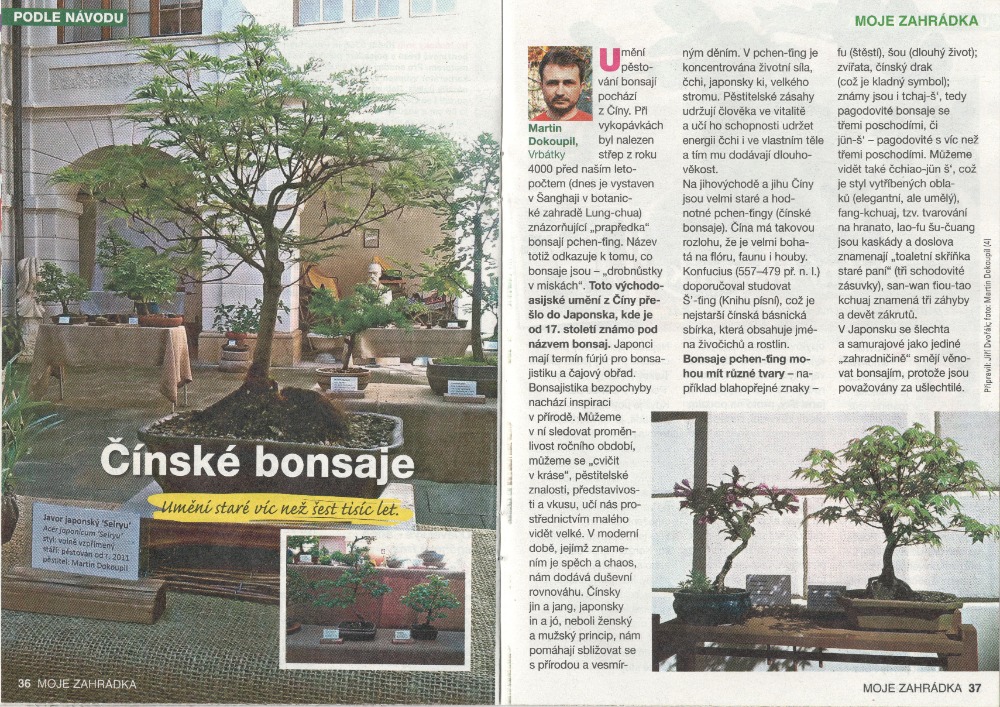 Zahrada_Burda-Čínské_bonsaje_201912