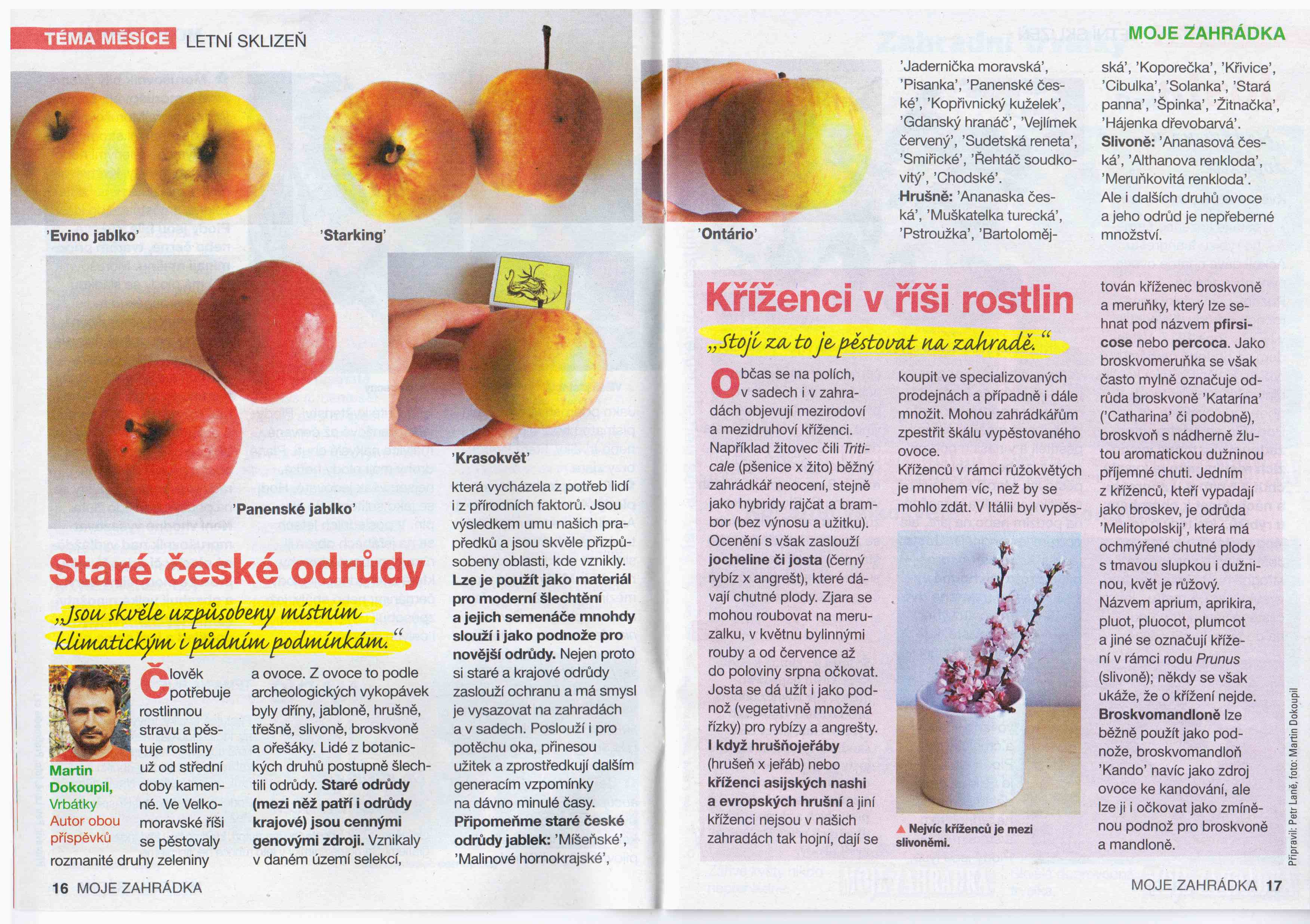 Zahrada_Burda-Kříženci-krajovky_201408