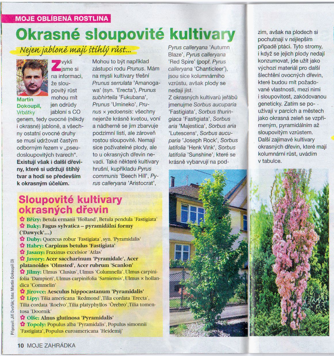 Zahrada_Burda-Okrasné_sloupové_kultivary_202002