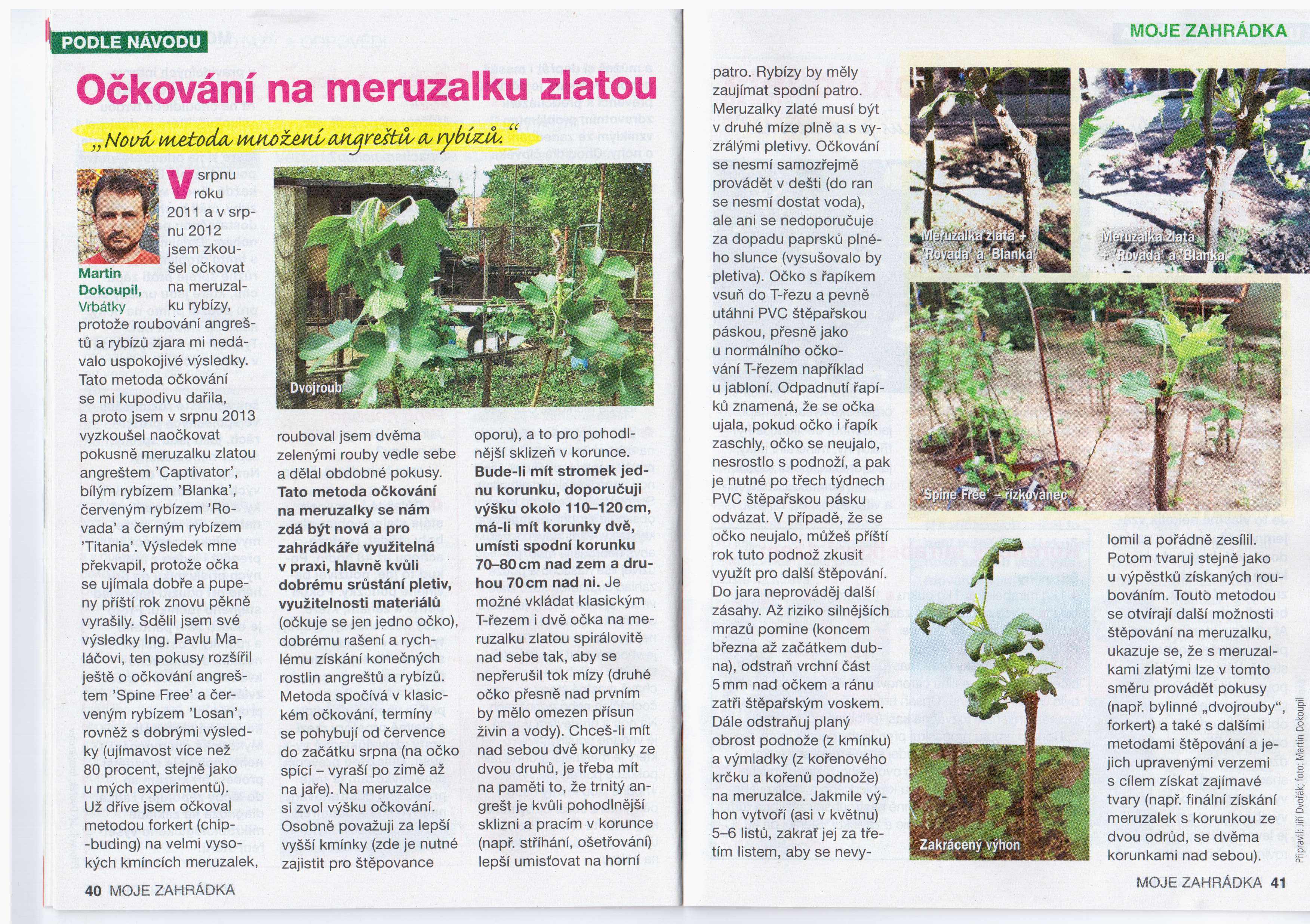 Zahrada_Burda-Očkování_rybízů_201507