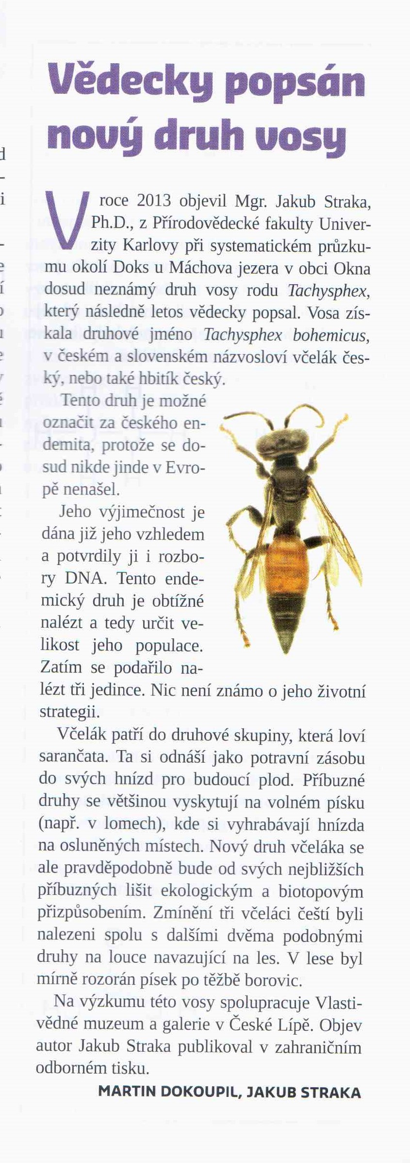 Moderní_včelař-Včelák_český_20166