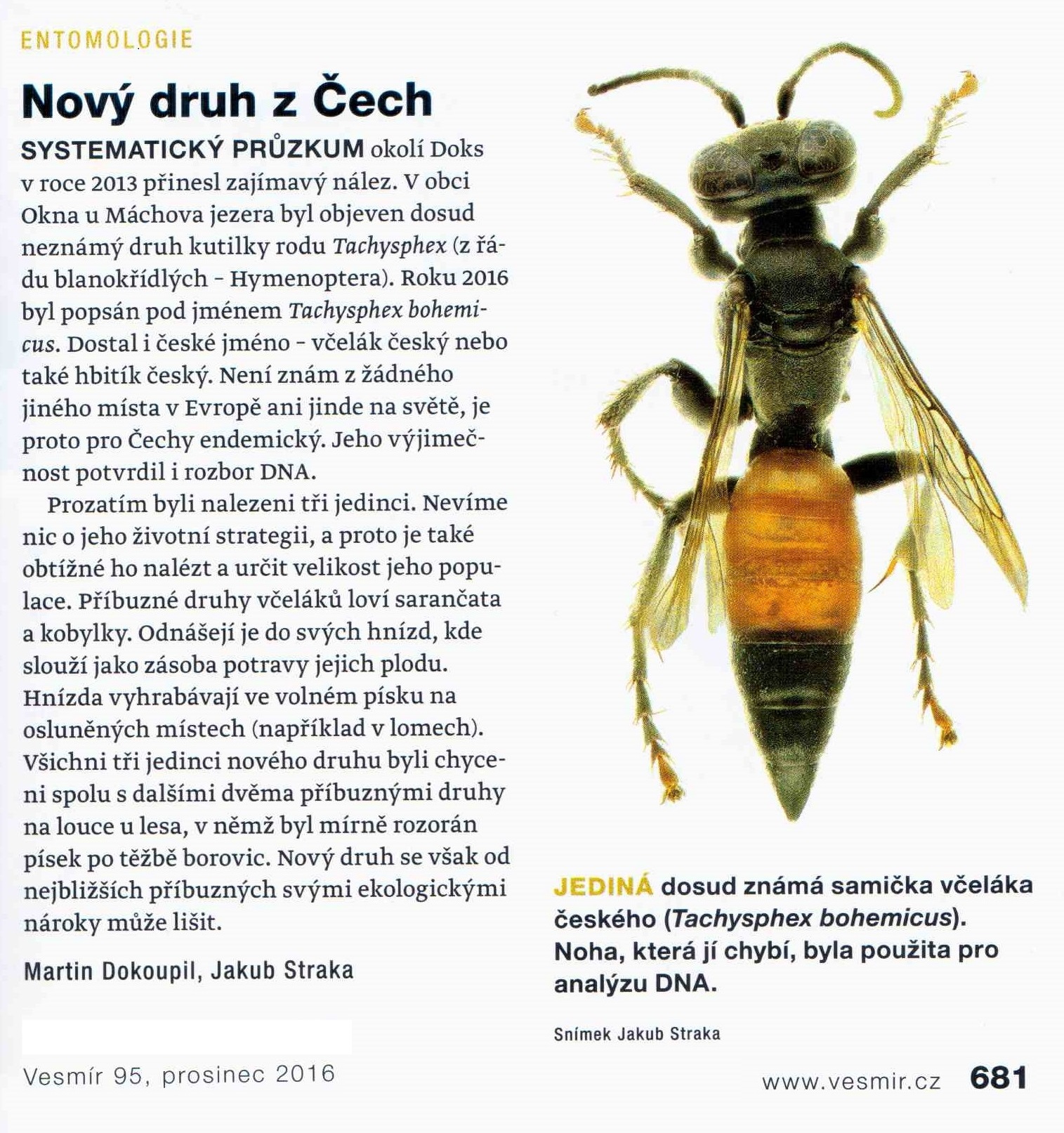 Vesmír-Včelák_český_201612