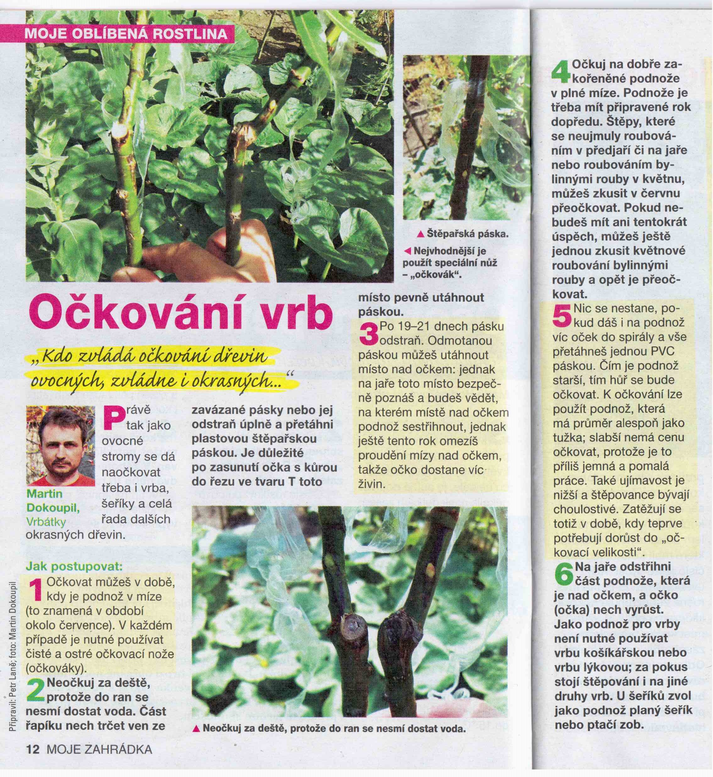 Zahrada_Burda-Očkování_vrb_201602